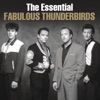 The Fabulous Thunderbirds - Sweet Thang