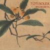 Toti Soler - Todos Os Sonhos do Mundo