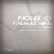 Ashes (Braulio Stefield Remix) - Phoenix TDF & Thomas Nikki lyrics