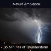 Thunderstorm Nature Ambience (Rain, Thunder, Lightning, Ambience, Nature Sound, Storm, Wind, Weather, Atmosphere, Soothing, Background) - Audionym