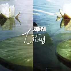 Lotus - Elisa