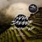 Dark Forest - Sven Jaeger lyrics