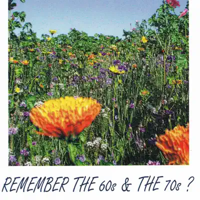 Remember the 60s & the 70s - The Anita Kerr Singers Remember the 60s & the 70s - The Anita Kerr Singers