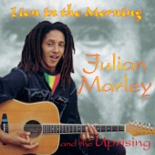 Julian Marley - Lion in the Morning