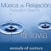 Relaxation Dreams, Música de Relajación: La Lluvia artwork