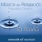 Relaxation Dreams, Música de Relajación: La Lluvia artwork
