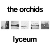 The Orchids - It's Only Obvious