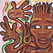 Crazy Horse artwork