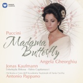 Puccini: Madama Butterfly artwork