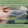 Wind, Rain & Thunderstorm (Deep Sleep Aid) [For Tinnitus, Insomnia, De-Stress, Meditation, Holistic Healing, Relaxation] [90 Minutes] album lyrics, reviews, download