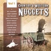 Bill Carter - Pony Express