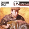 12 Favoritas: David Lee Garza