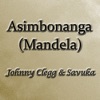 Asimbonanga (Mandela) by Johnny Clegg iTunes Track 2