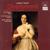 Haydn: Divertimenti artwork