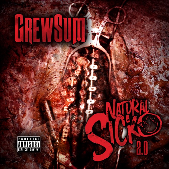 Cover artwork for Kill 'Em All