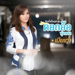 Dokor Thoongthong - เมียเก่า