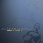 Scott Feiner & Pandeiro Jazz - A View from Below