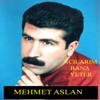 Acılarım Bana Yeter, 2000