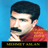 Acılarım Bana Yeter - Mehmet Aslan