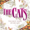 The Best Years of My Life - Single