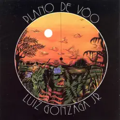 Plano de Voo - Luiz Gonzaga