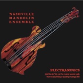 Nashville Mandolin Ensemble - Where No Mandolin Has Gone Before