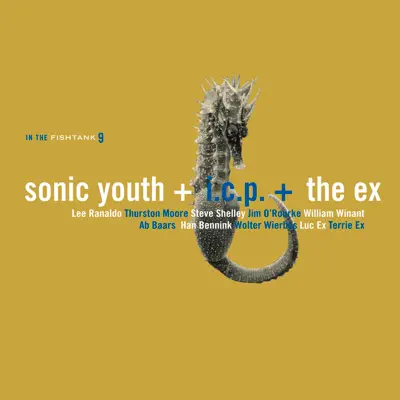 In the Fishtank 9 - Sonic Youth