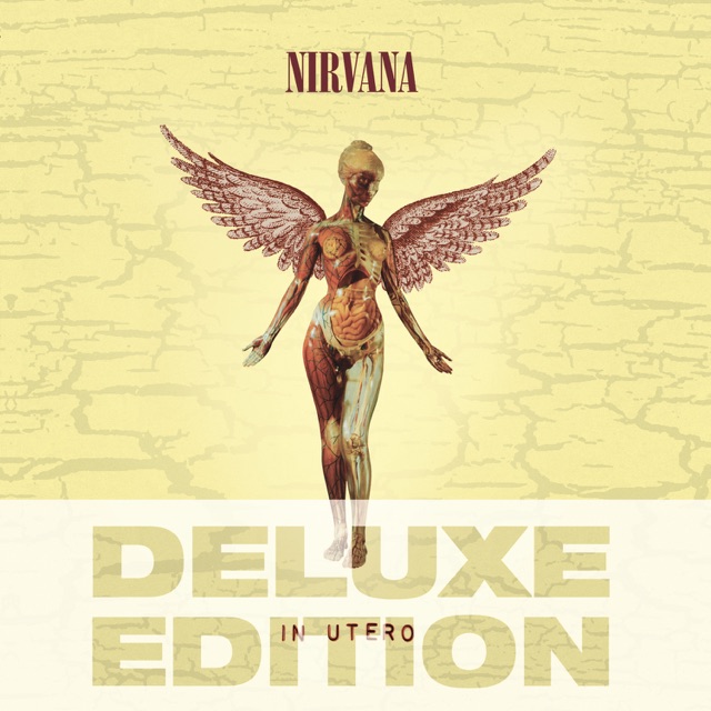 Nirvana In Utero (20th Anniversary Deluxe Edition) Album Cover
