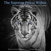 Devi Suktam - Praising the Myriad Forms of the Divine Power (feat. Nate Morgan) artwork