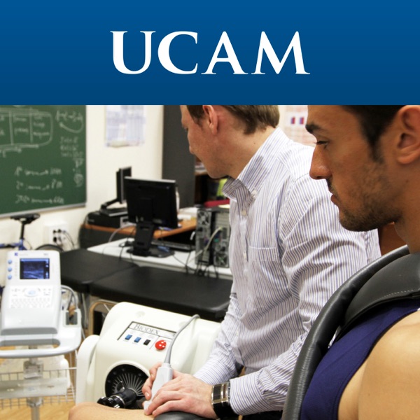 Investigación cover