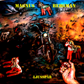 Ljusspår - Magnus Bergman