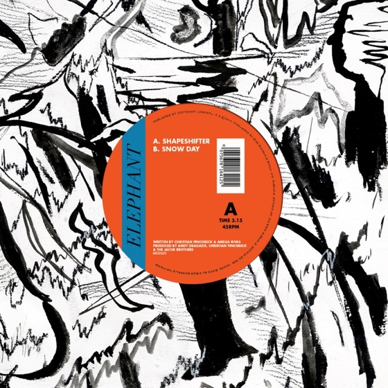 Cover artwork for Shapeshifter