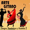 Arte Gitano. Tangos, Fandangos y Bulerías (Volumen 2)