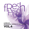 Fresh Hits - 2014 - Vol. 4 - Mix Factor