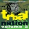 NATION OF ZULU (Spiritual Vibe Remix) - Shaka lyrics