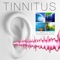 Tibetian Singing Bowls - Tinnitus lyrics