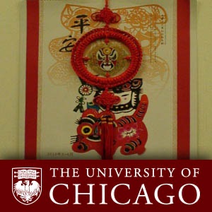 Chinese Language Video Projects cover