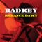 Romance Dawn - Radkey lyrics