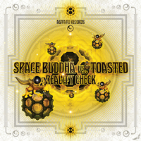 Space Buddha & Toasted - Reality Check artwork