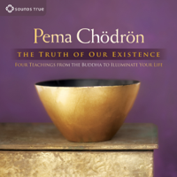 Pema Chödrön - The Truth of Our Existence: Four Teachings from the Buddha to Illuminate Your Life artwork