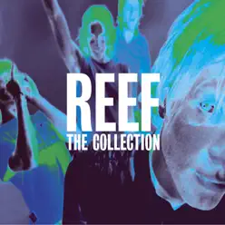 Reef - The Collection - Reef