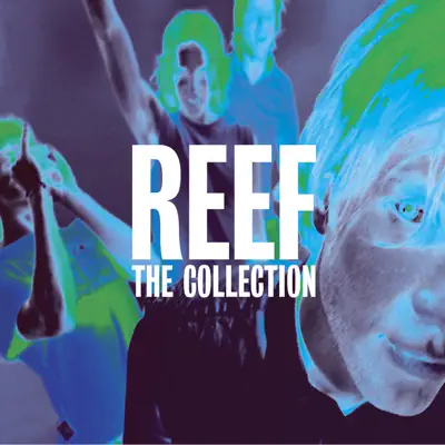 Reef - The Collection - Reef