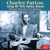 Mean Black Cat Blues (The Complete Recordings 1929, Vol. 3) artwork