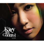 In Control - Kary Ng