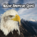 Cherokee Morning Song (feat. Alison) - Indian Calling