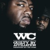 Guilty By Afilliation artwork