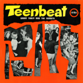 Teenbeat - Grant Tracy & The Sunsets