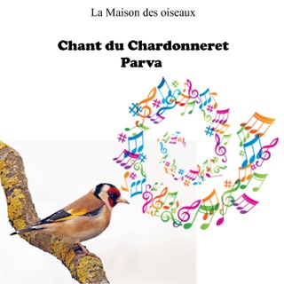 Chardonneret Parva Mouzaia Vol 2 By Chardonneret Parva On