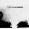 Two Wounded Birds artwork
