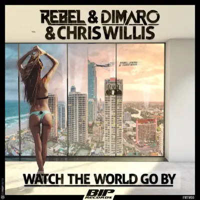 Watch the World Go By (Radio Edit) - Single - Chris Willis